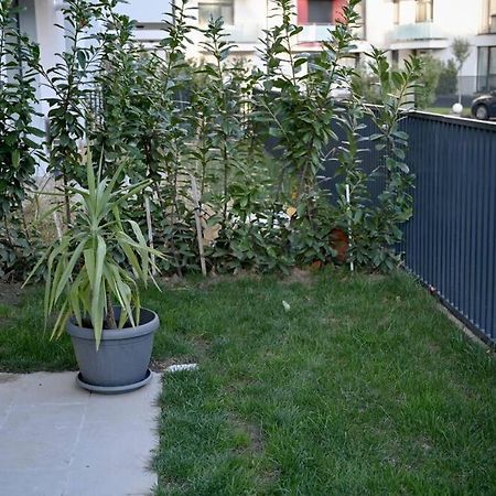 #Minehouse Apartment Timisoara Ngoại thất bức ảnh