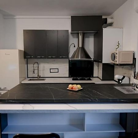 #Minehouse Apartment Timisoara Ngoại thất bức ảnh