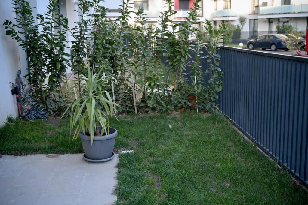 #Minehouse Apartment Timisoara Ngoại thất bức ảnh