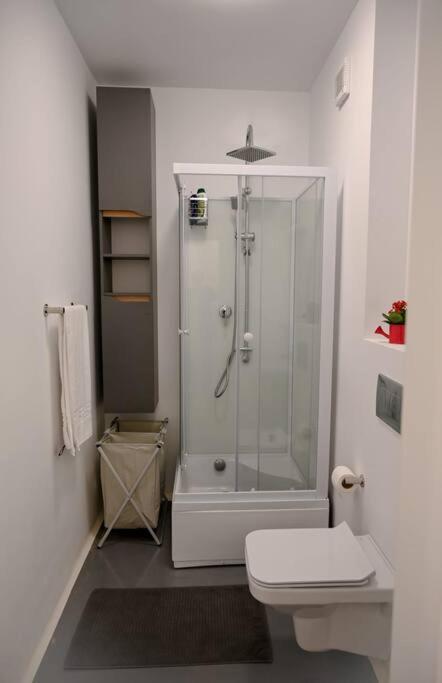 #Minehouse Apartment Timisoara Ngoại thất bức ảnh