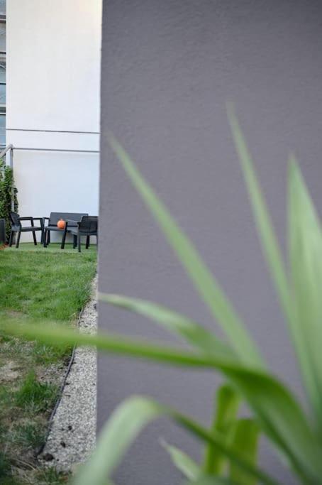 #Minehouse Apartment Timisoara Ngoại thất bức ảnh